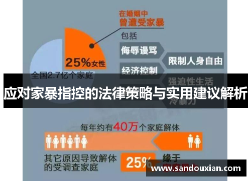 应对家暴指控的法律策略与实用建议解析