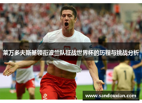 莱万多夫斯基领衔波兰队征战世界杯的历程与挑战分析 莱万多夫斯基领衔波兰队征战世界杯的历程与挑战分析