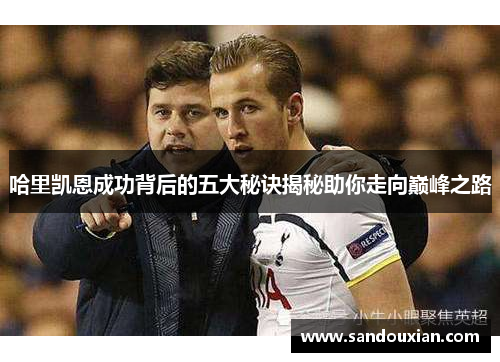 哈里凯恩成功背后的五大秘诀揭秘助你走向巅峰之路